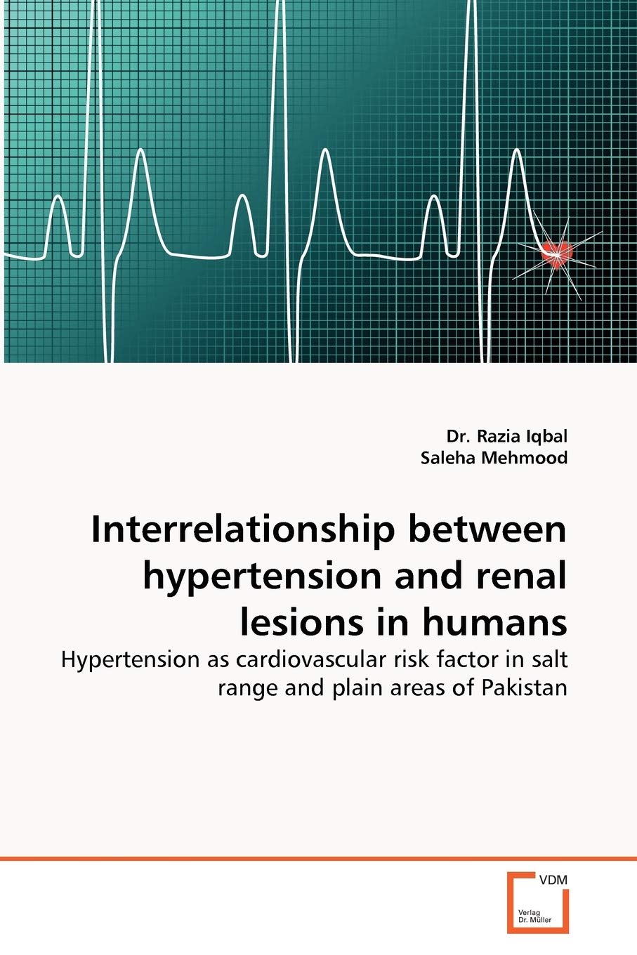 Interrelationship between hypertension and renal lesions in humans: Hypertension as cardiovascular risk factor in salt range and plain areas of Pakistan