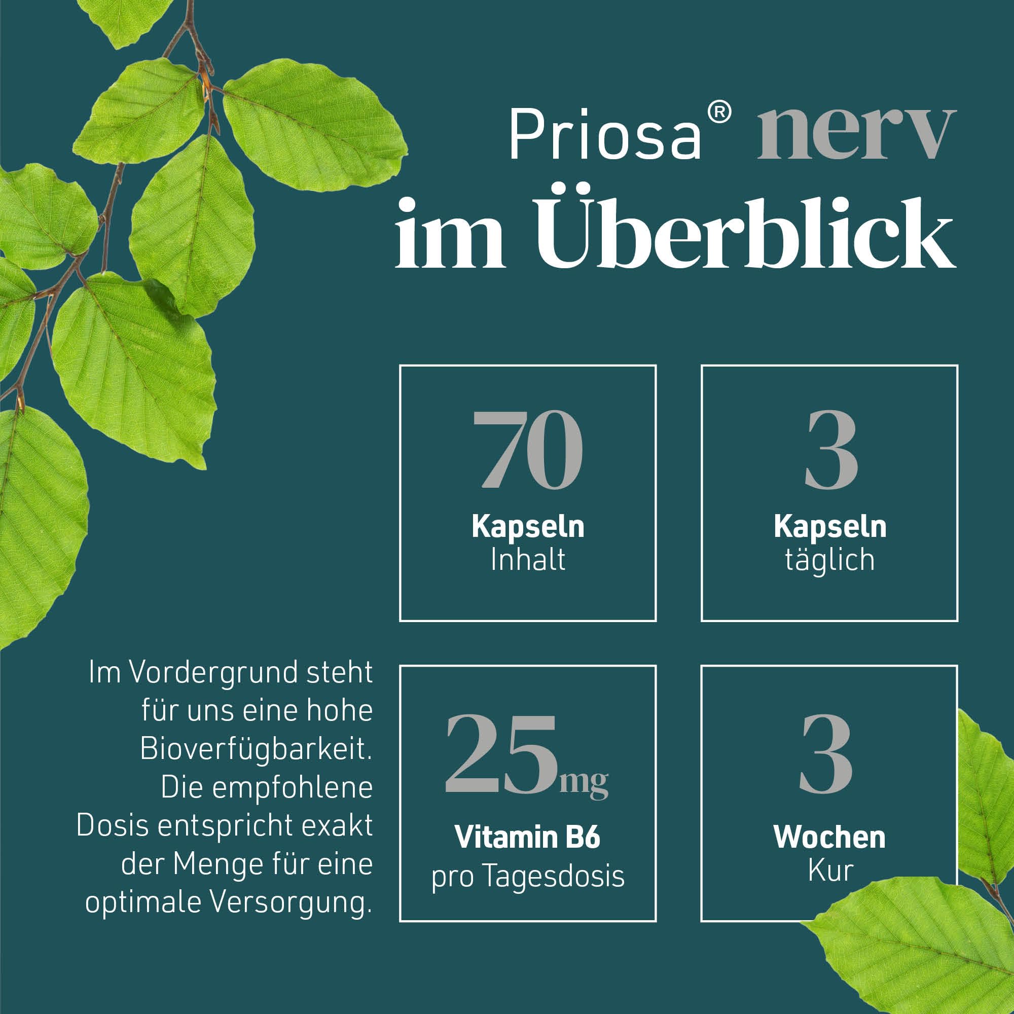 Priosa nerv I 70 Vitamin Kapseln zur Unterstützung der Funktion des Nervensystems I Nahrungsergänzungsmittel mit Vitamin B6 & Vitamin B12