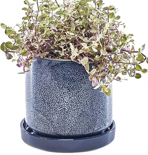 Miniatura 49 de CHIVE Macetas de cerámica para suculentas 'Minute', macetas de 5 pulgadas para cactus y flores de interior con drenaje y platillo desmontable, verde