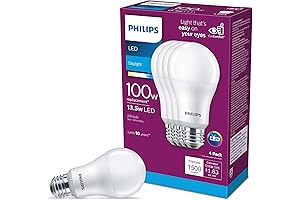 Philips LED Light - 1500 Lumen