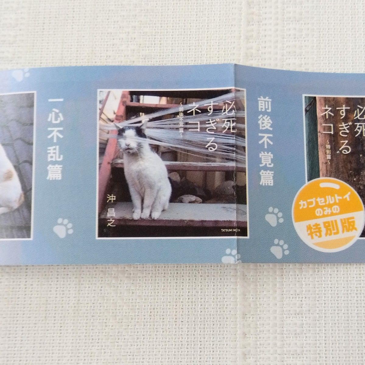 Amazon.co.jp: 必死すぎるネコ 前後不覚篇 写真沖昌之 ガチャ 豆本