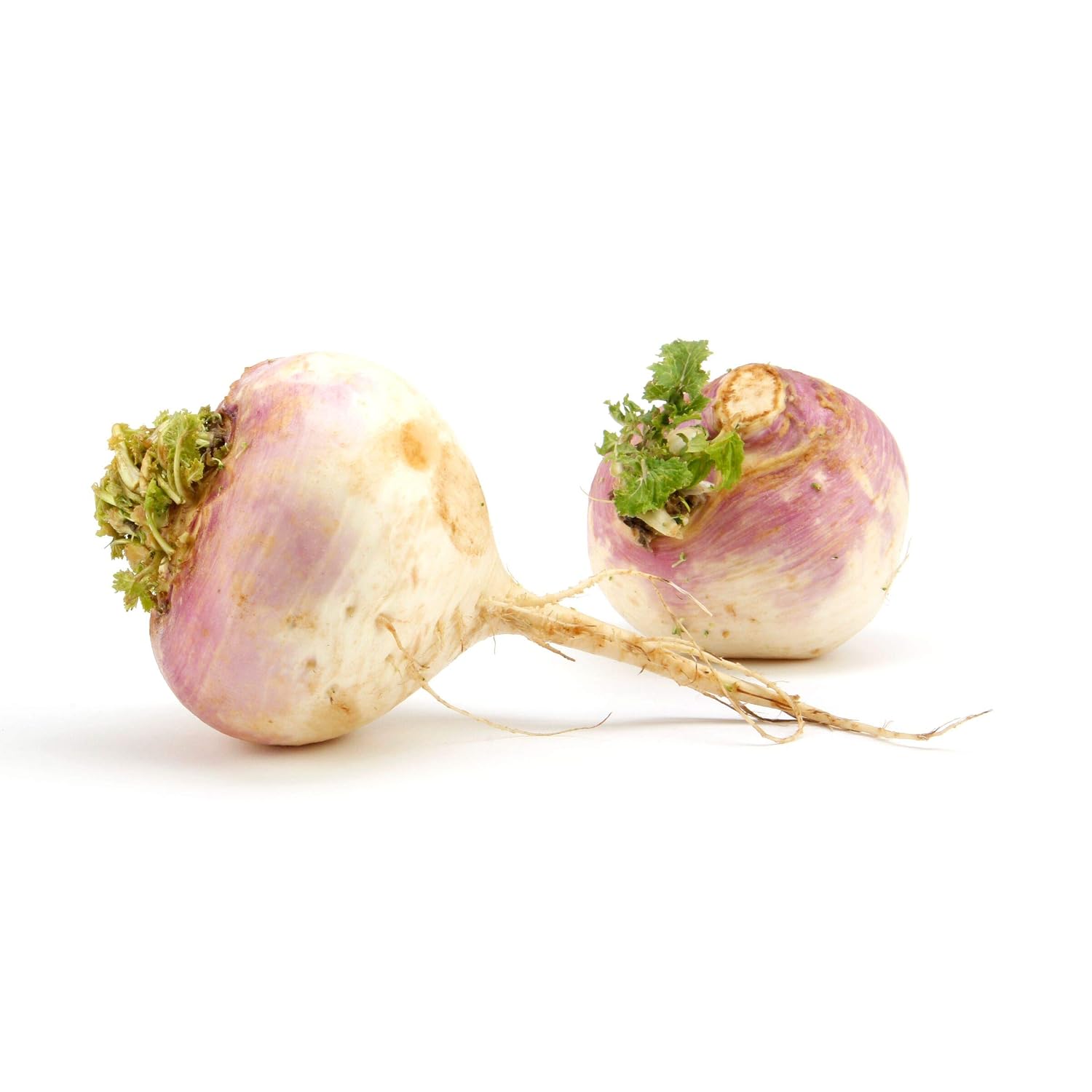 Organic Purple Top Turnips