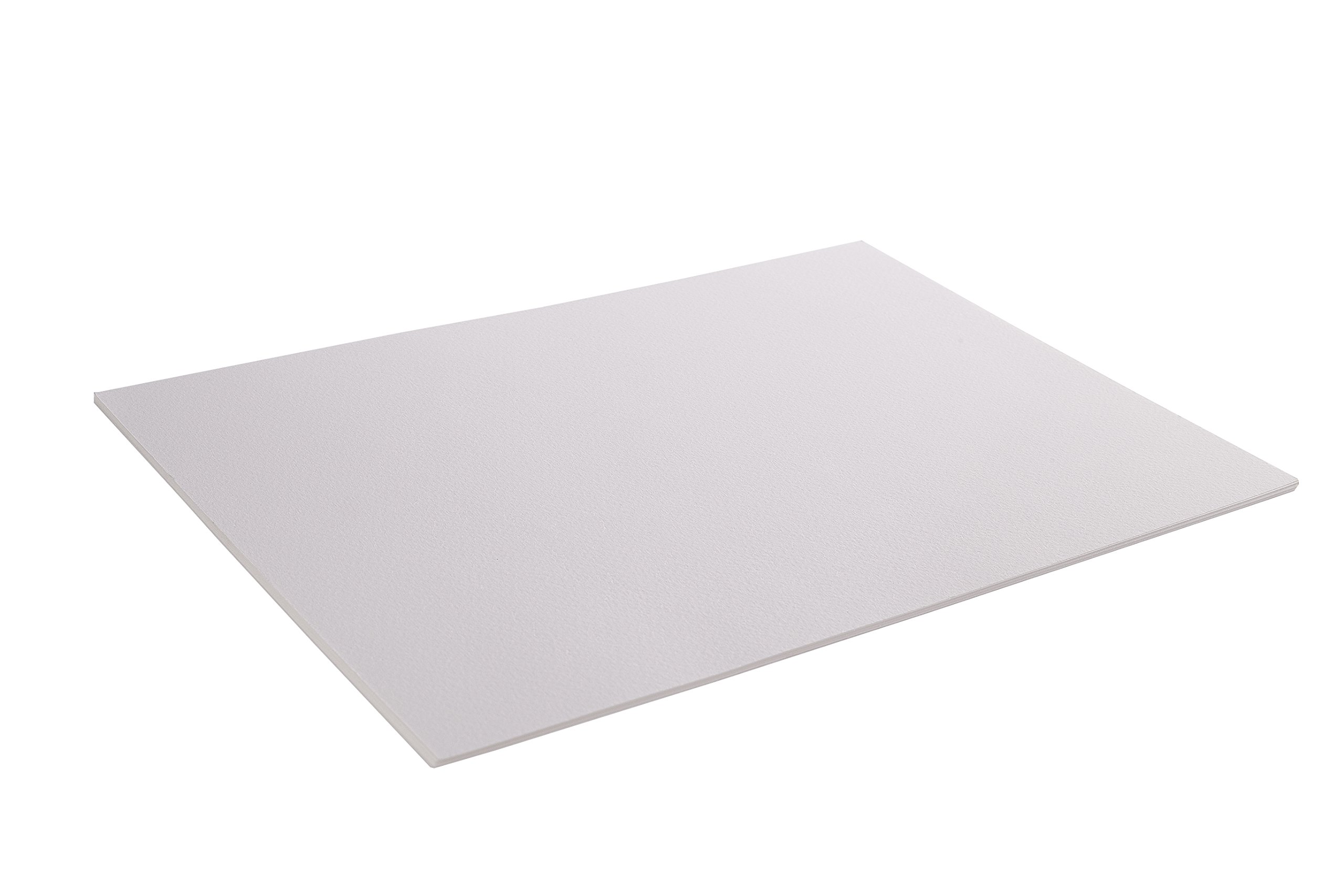 Brustro Artists Pastel Papers, 160 GSM, A4, White | Pack of 2 (Total 24 Sheets)| Ideal for Pastels, Colour Pencils, Graphite, Charcoal, Gouache, Ink and Dry Techniques 1