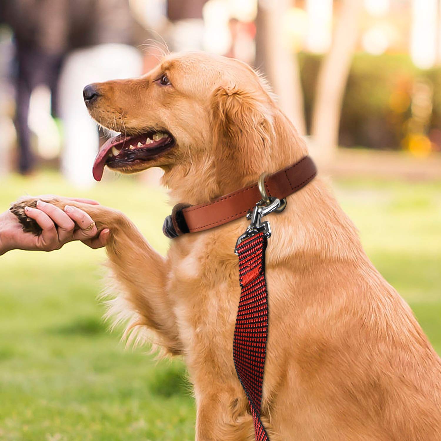 Hi Kiss - Correa de adiestramiento en obediencia, llamada y agilidad para perros y cachorros, 4,5, 6, 9, 15 y 30 metros, ideal para adiestrar, jugar, acampar o jardín (6 m, negro, rojo)