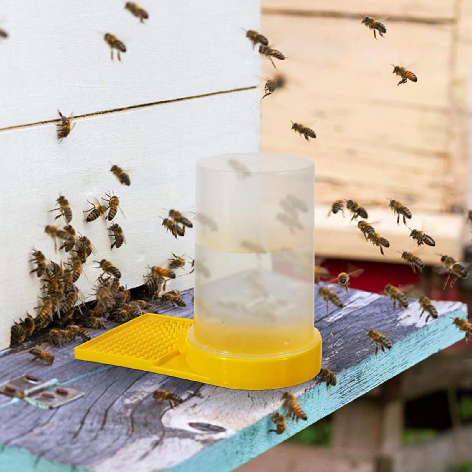 Lot de 5 distributeurs d'eau pour abeilles, entrée d'abeilles, abreuvoir pour abeilles, équipement d'apiculture, équipement d'apiculture, outil d'apiculture
