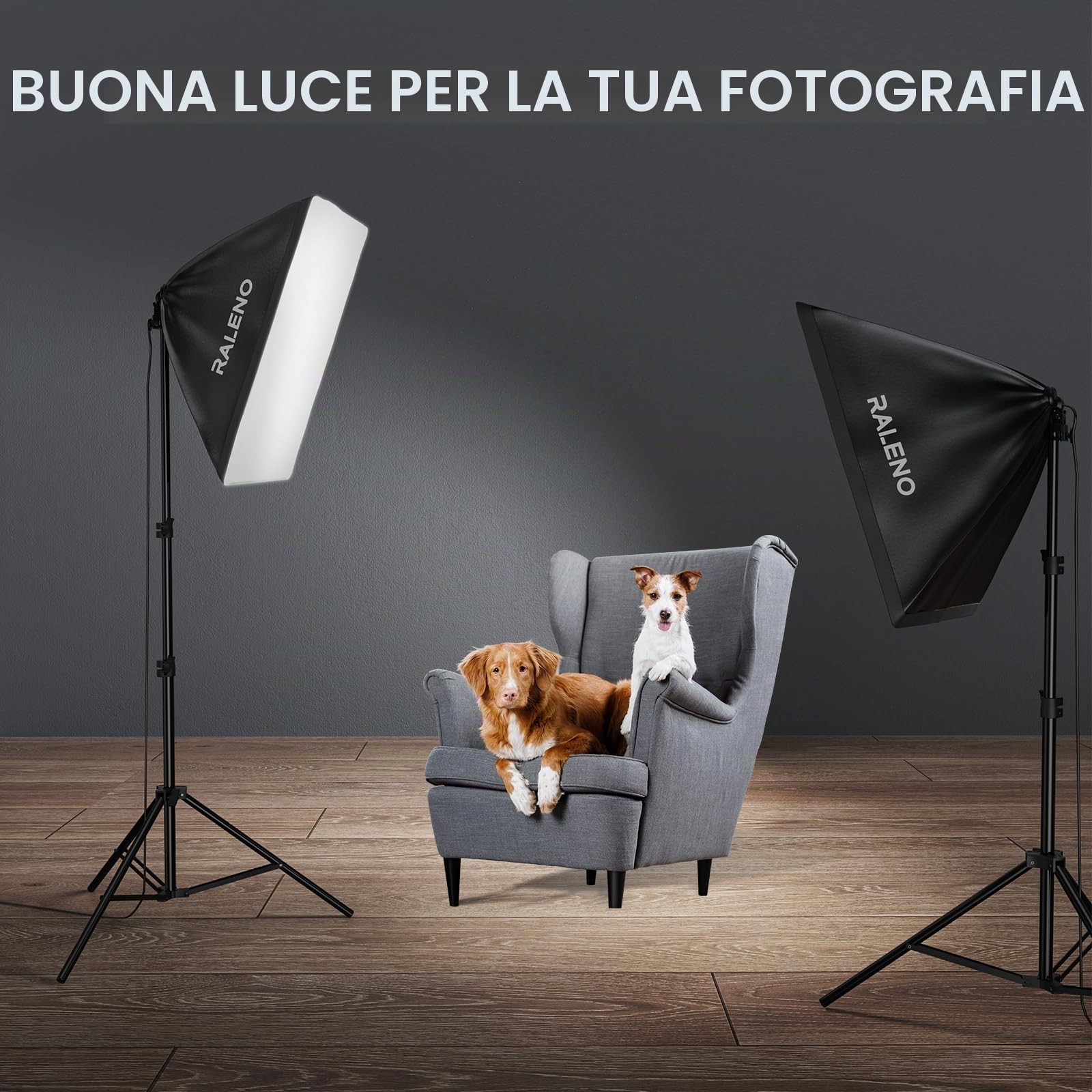 RALENO Softbox 2 x 50W LED Softbox Set per Studio Fotografico, 2 x 50x50 cm, Luce Fotografica con Lampadina da 5500K e Treppiedi, Lampada Fotografica per Ritratti