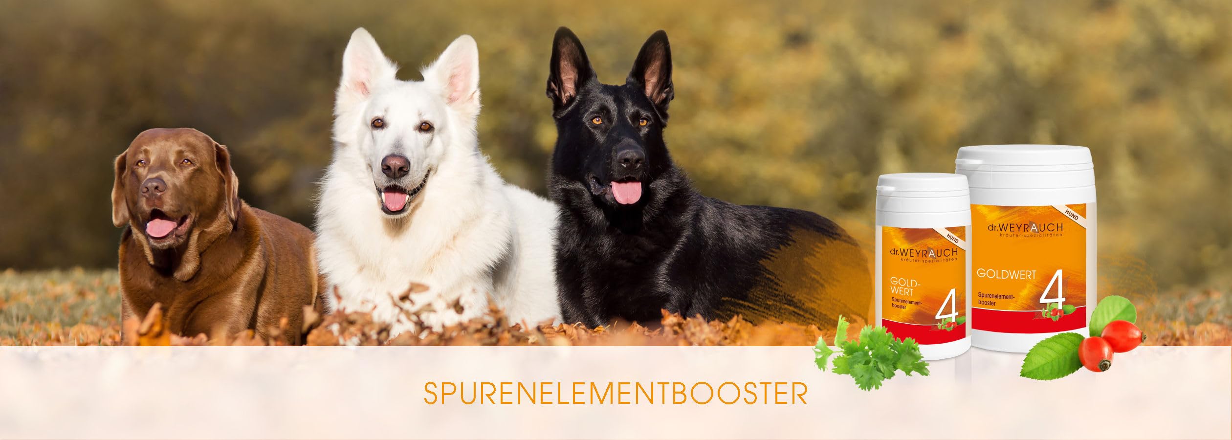 Dr. Weyrauch Nr. 4 Goldwert | 180 Kapseln | Ergänzungsfuttermittel für Hunde | Mit Spurenelementen