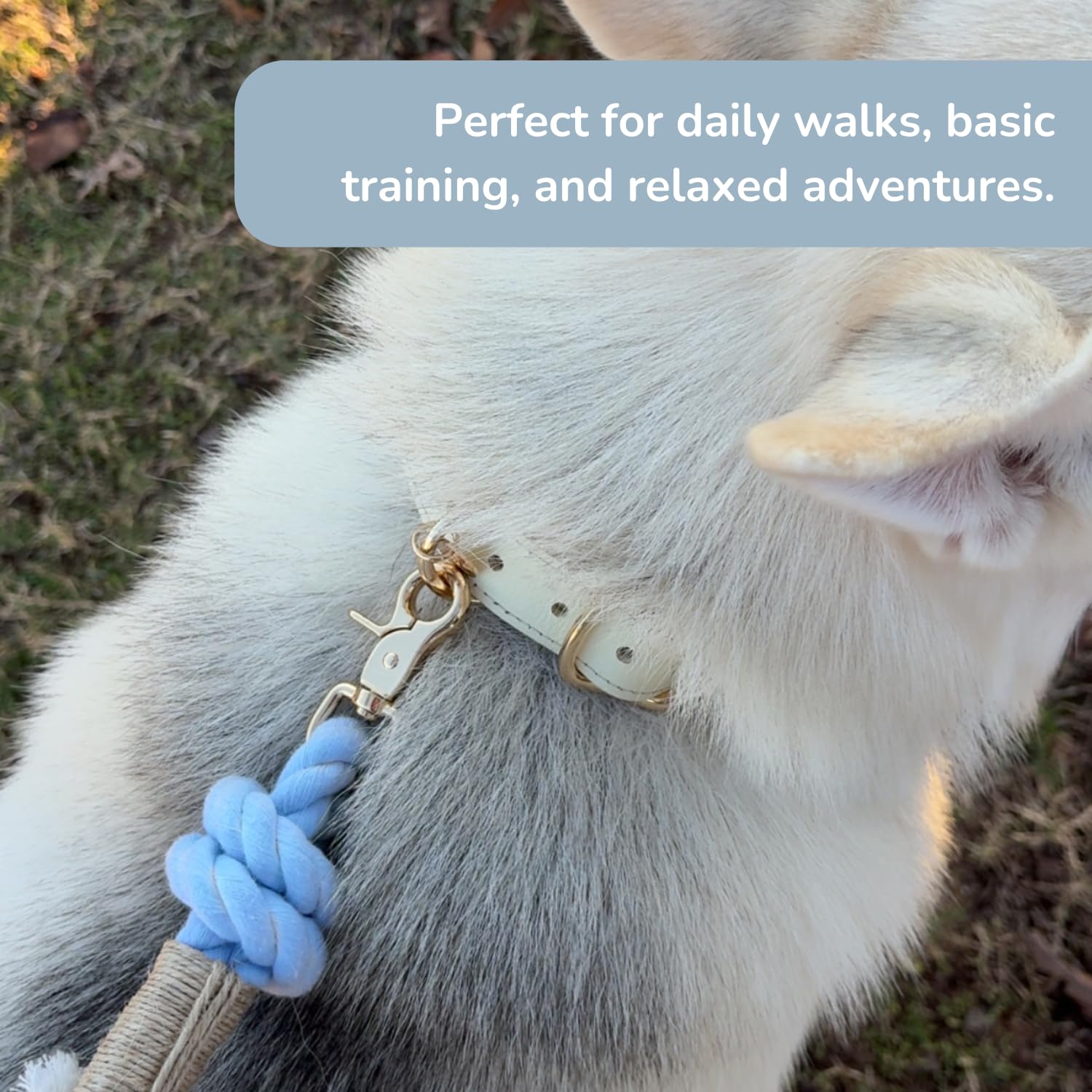 PUPPYSENTIALS Correa de cuerda de algodón trenzado suave y duradera de 5 pies para perros medianos/perros grandes, ligera con clip a presión de 360 grados, viene con una práctica bolsa de regalo de