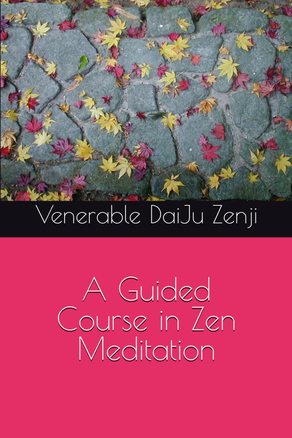 A Guided Course in Zen Meditation