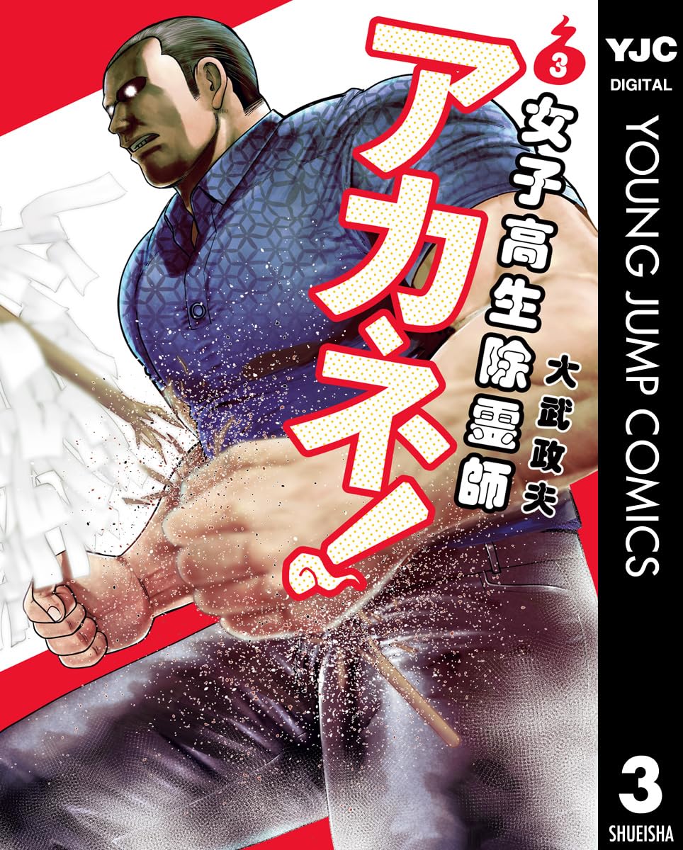 大武政夫 全初版帯有り 付録有り お守り