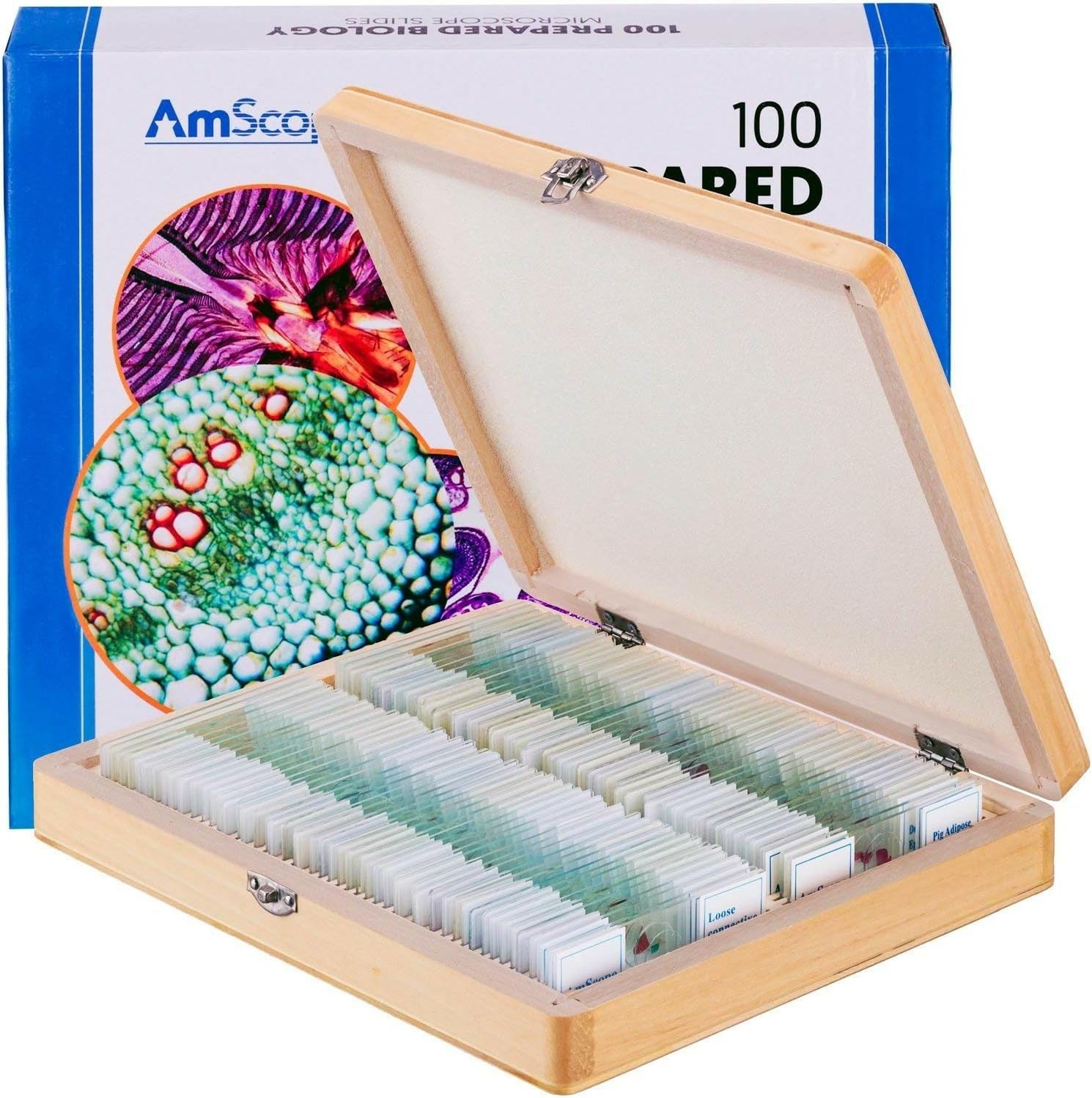 Amscope, PS100E, 100 vetrini da microscopio già pronti, uso scolastico, set E