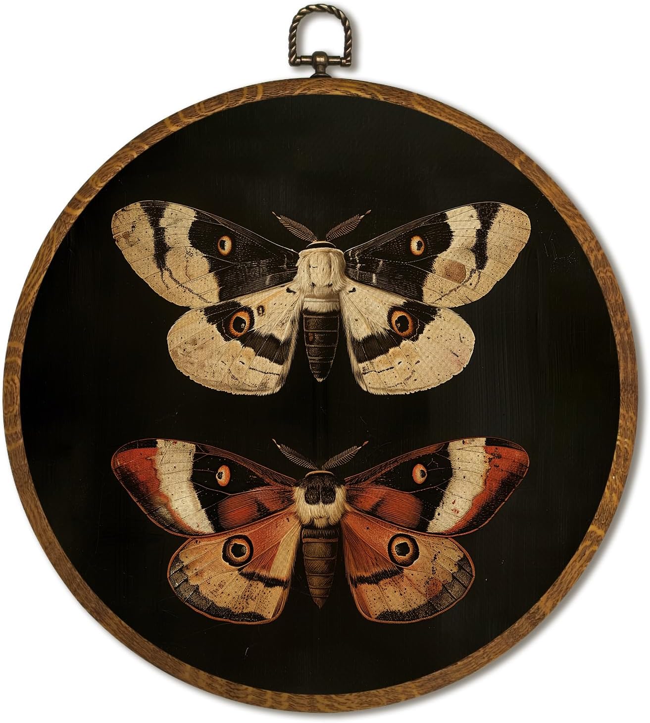 Vintage Wall Art 10x10 Inch, Round Framed Canvas Print of Vintage Butterfly & Moths, Dark Moody Circular Wall Art Decor for Living Room, Bedroom, Neutral Retro Artwork (Black-2 Butterflies)