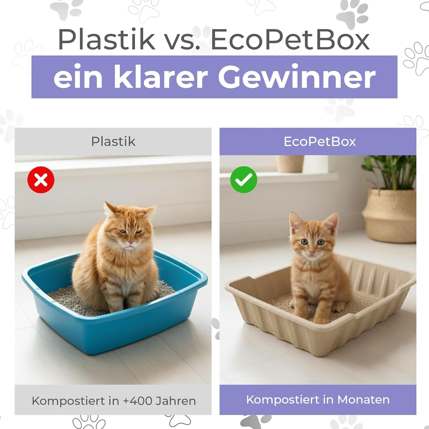 EcoPetBox – Recyclebare Katzentoilette Set – 6 große Einweg Bio-Katzenklos, 5 kg Natur-Katzenstreu, 3 Schaufeln, biologisch abbaubar & plastikfrei – Hygienisch, geruchshemmend & sofort einsatzbereit