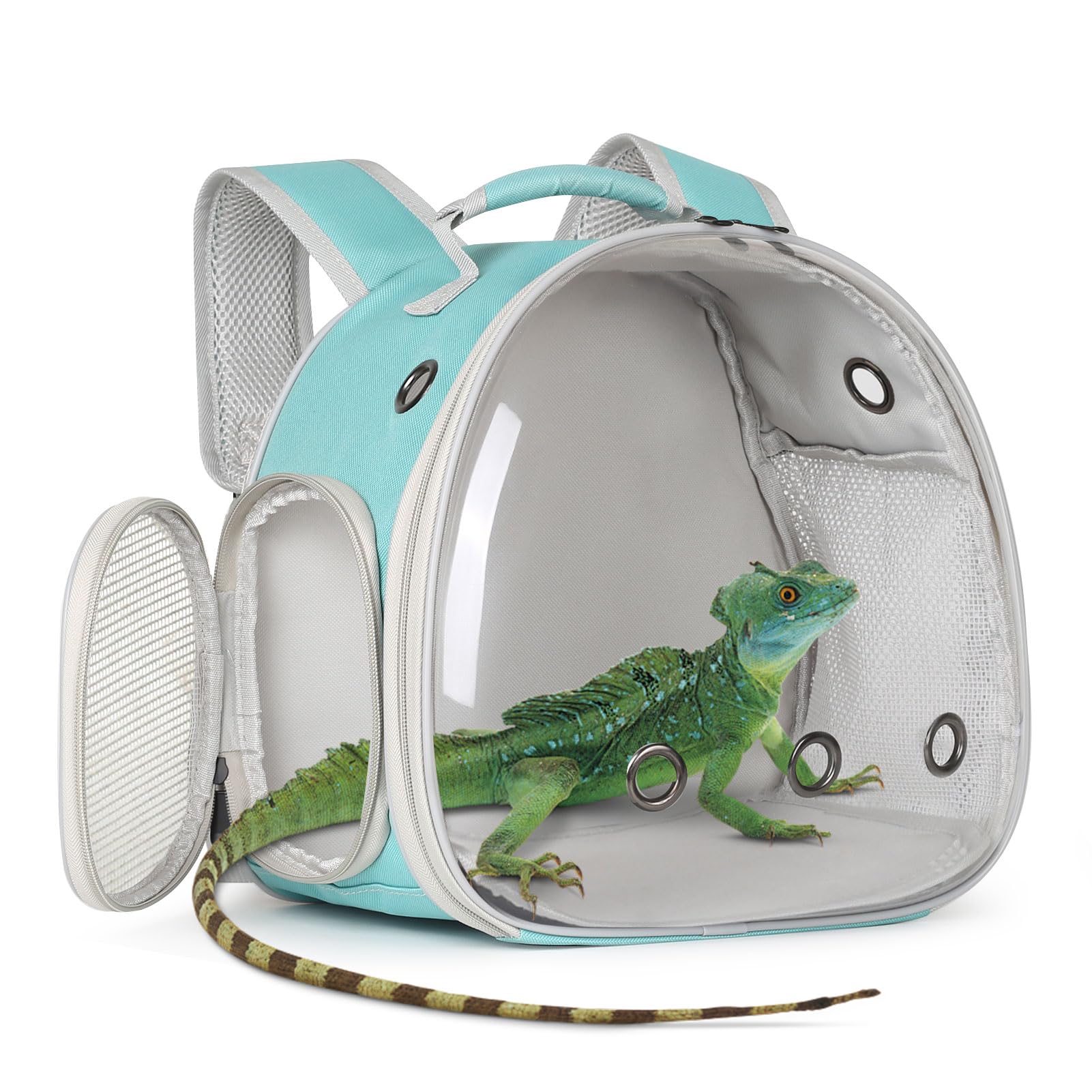 Guinea Pig Backpack Carrier, Bearded Dragon Carrier Backpack with Clear Bubble Window,Small Animal Travel Backpack for Hedgehog Rat，Chameleon,Rabbit,Sugar Glider,Airline Approved (Green, Backpack)