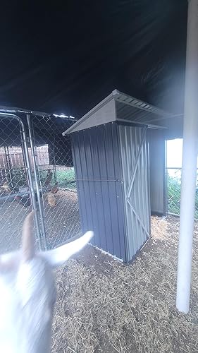 Review Image by Amazon Customer