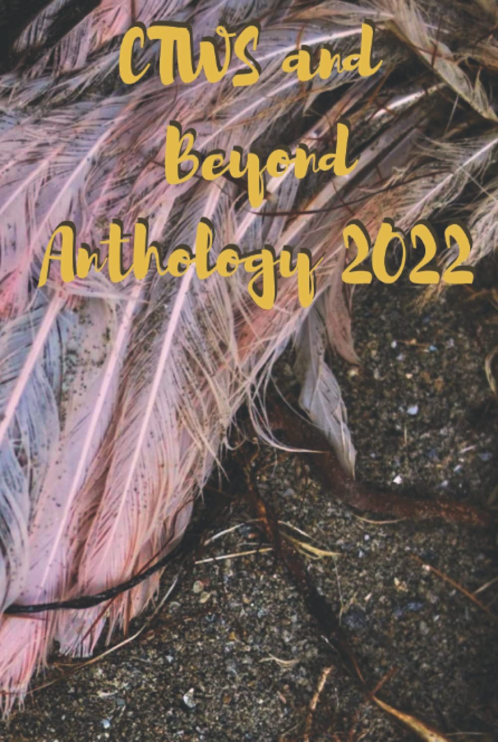 CTWS and Beyond Anthology