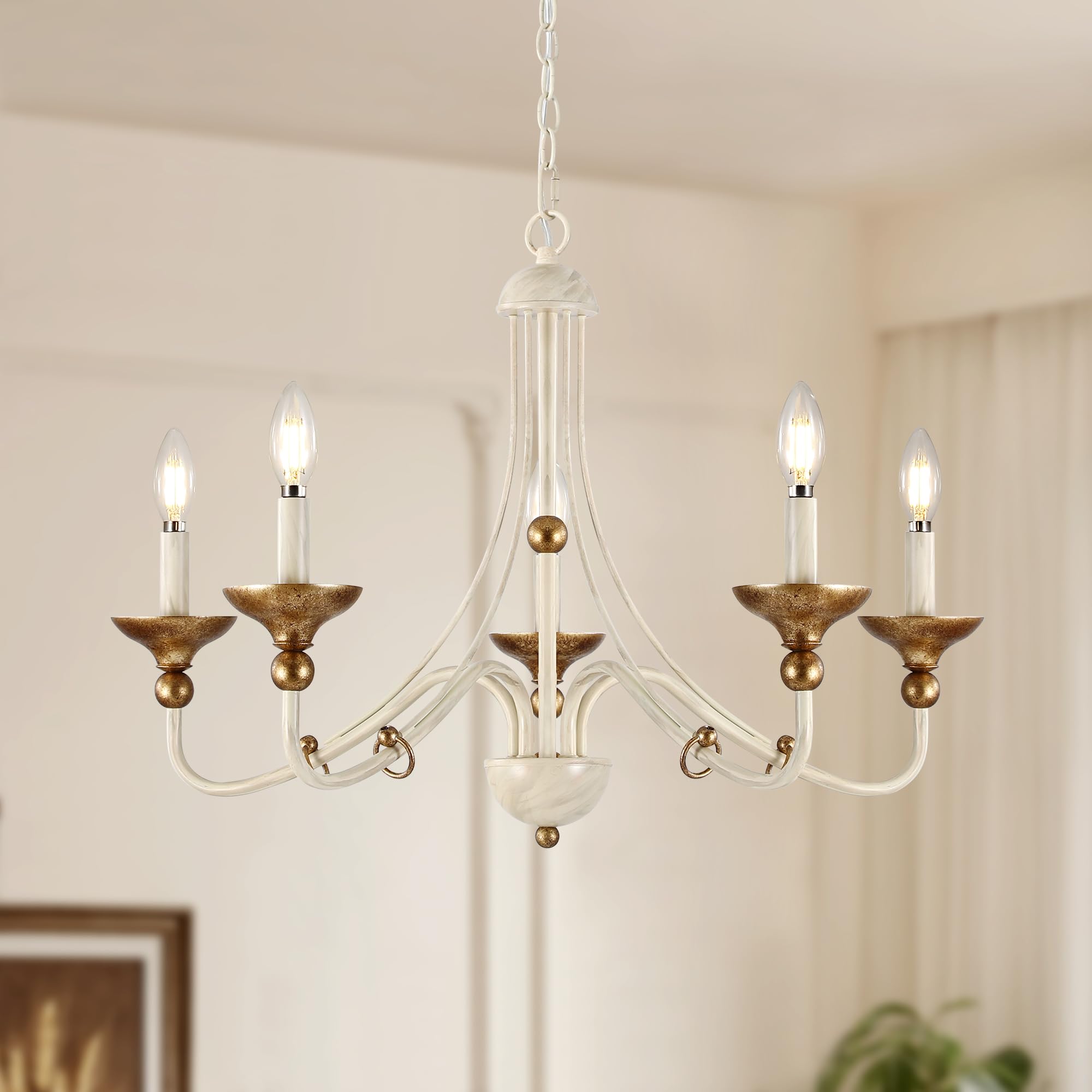 Photo 1 of ACNKTZ 5-Light French Country Chandelier