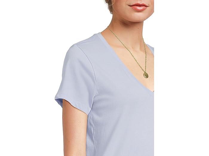 Madewell Northside Vneck Tee