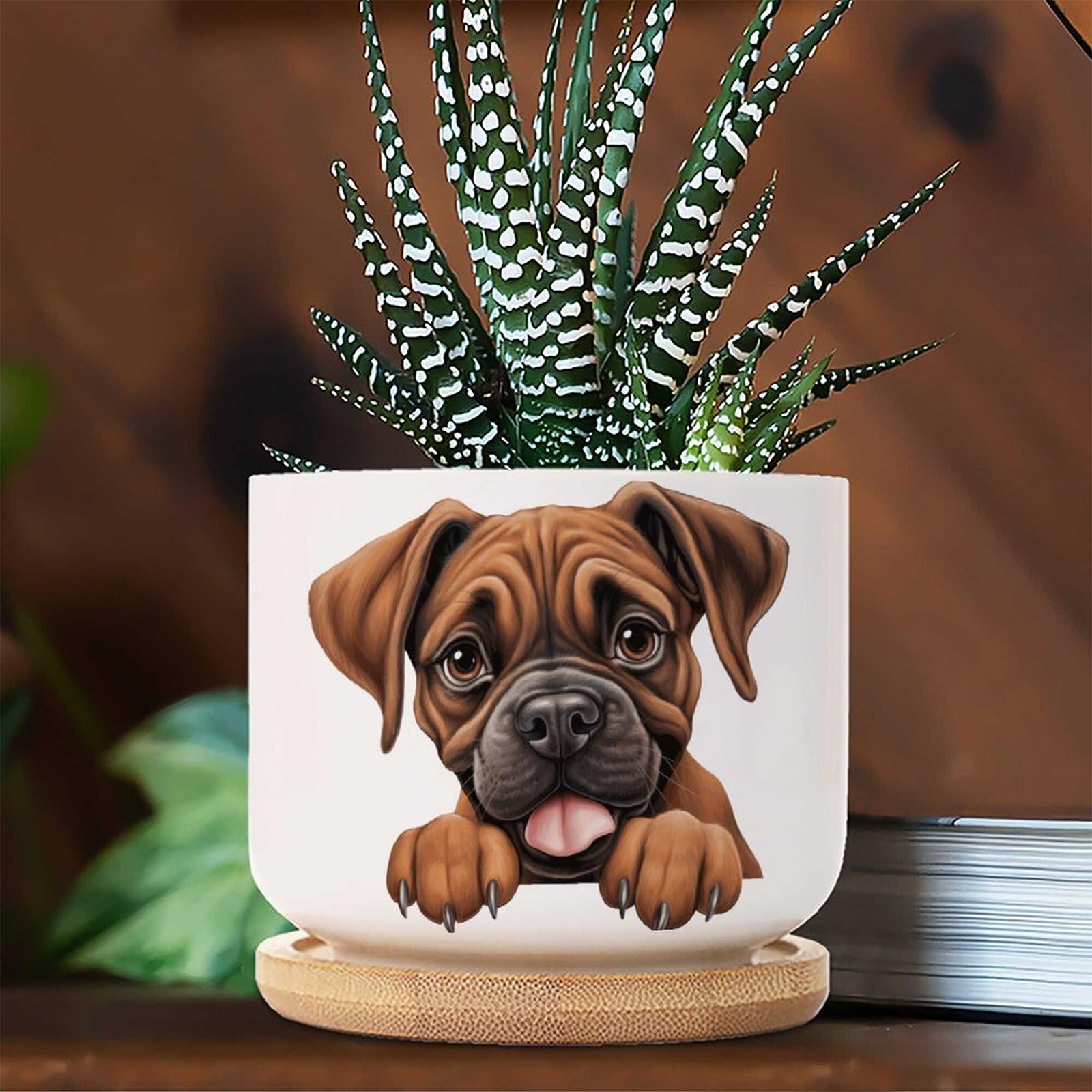 Boxer Gifts Sexy and I Grow It' Novelty Body Shaped Plant Pot | Funny Rude Home Décor Gift, Ceramic, White, One Size