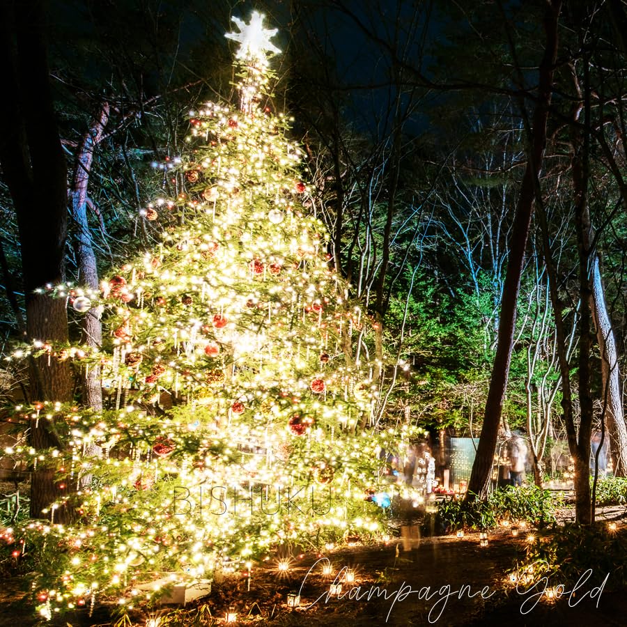 ばり安挑戦!!!【点灯確認済み!!全200m】ジェフコム LEDライト連結
