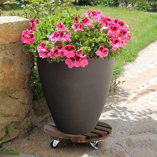 Miniatura 5 de Silkchio Carrito para plantas con ruedas paquete de 2 unidades soporte rodante con cerradura de 12 pulgadas carrito de rodillos de madera para