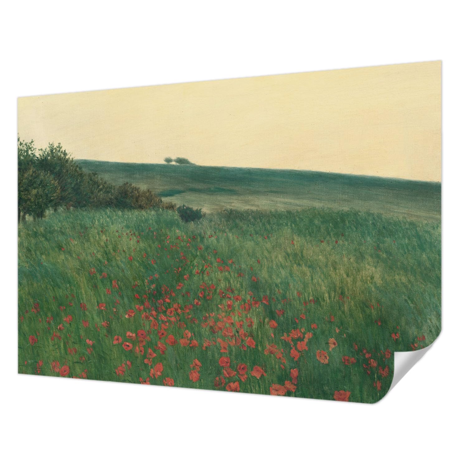 Papier peint autocollant pour chambre à coucher au motif panoramique champs de pavots