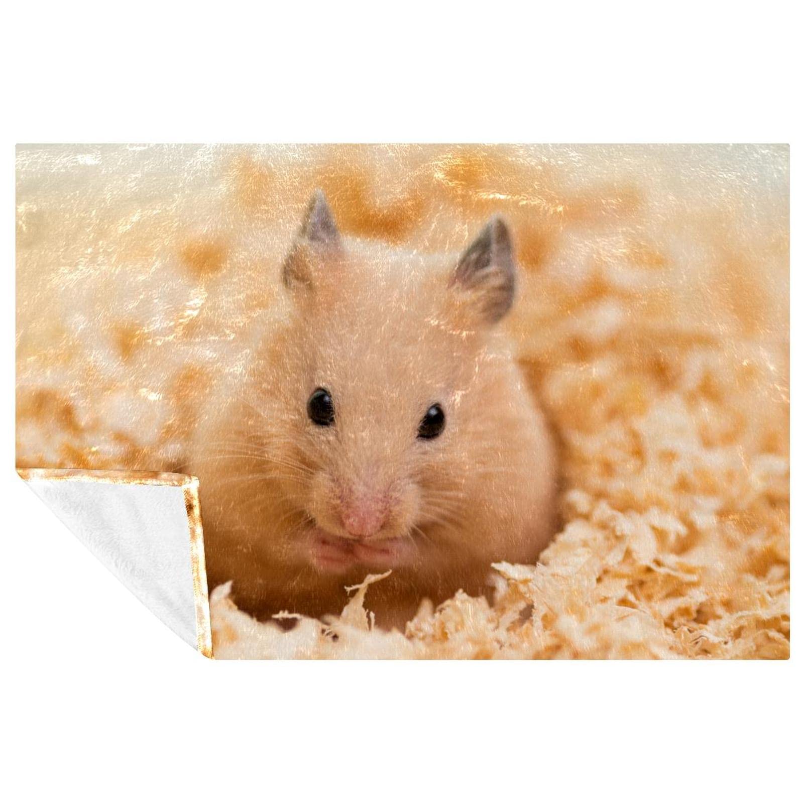 Couverture chaude lit et canapé anti-froid - Plaid motif hamster 150 x 100 cm