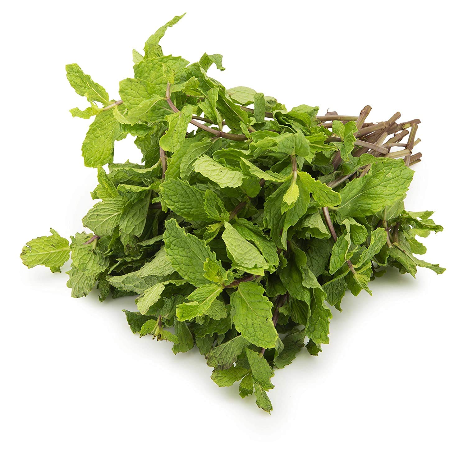 Fresh Mint Leaves, 100 g - Naturally Grown