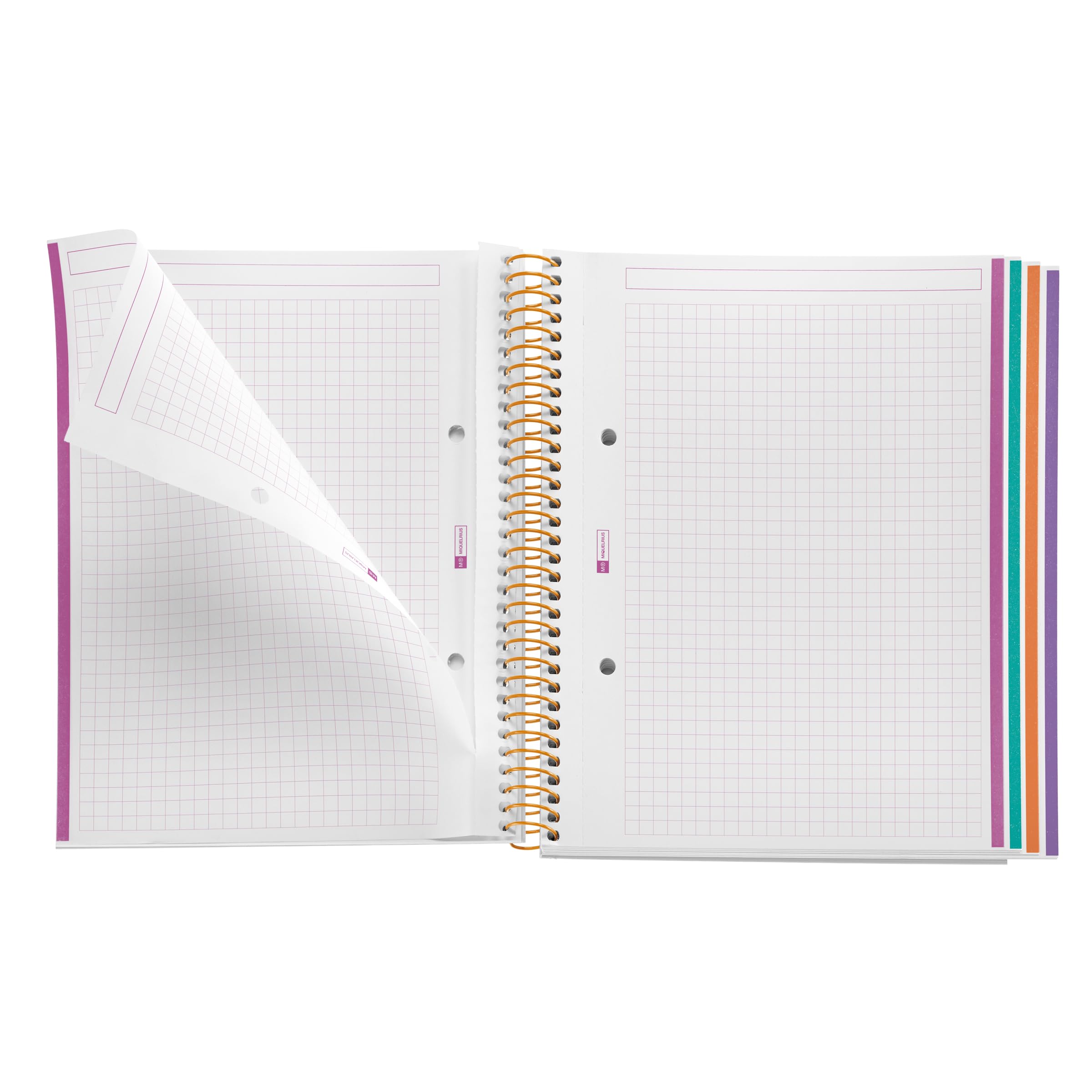 Miquelrius, A5 notebook (148 x 210 mm), 100 squared sheets of 70 g/m², rigid cardboard cover, 4 colour bands, spiral, 2 holes - Image 3