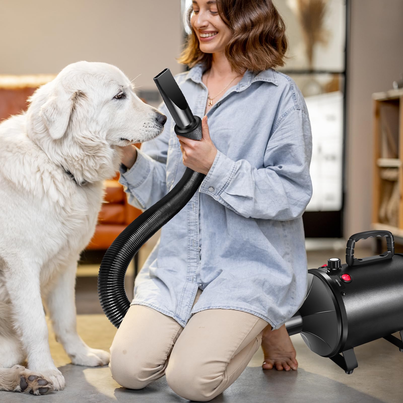 Secador de pelo profesional para perros de 2800 W, calor y velocidad ajustables con 4 boquillas diferentes
