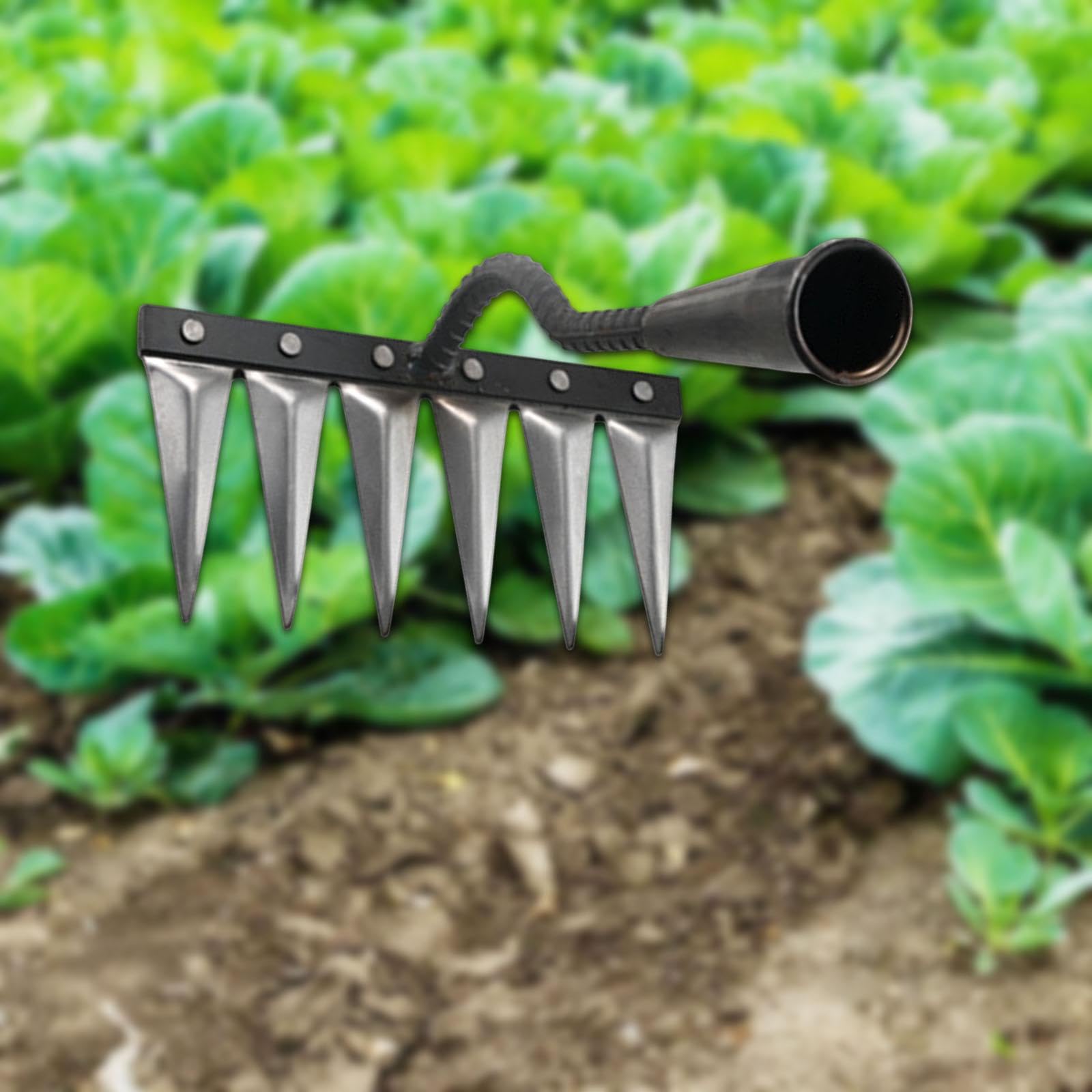 Désherbeur Manuel Multifonctionnel Robuste en Acier, 6 Dents, idéal pour Le Jardinage et Les exploitations agricoles.