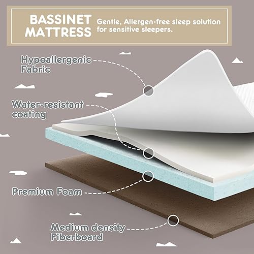 Miniatura 7 de HARPPA Cuddly - Moisés 3 en 1 para bebé (red de mosquito incluida), cuna ajustable de cinco posiciones con almacenamiento para recién nacidos,