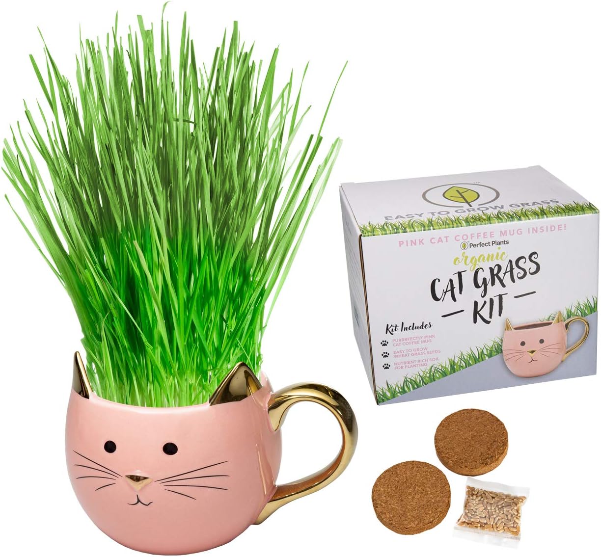 cat grass kit