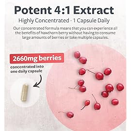 Super Potent Hawthorn Berry Extract Capsules - Hawthorn Berry Supplement Made from Extra Strength Concentrate to Support Heart and Digestive Health - Vegan Non-GMO & Gluten Free (6 Month Supply)