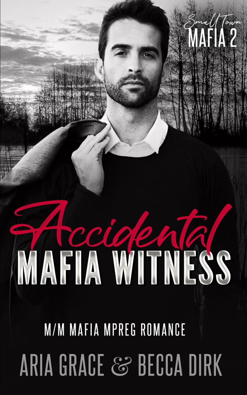 Accidental Mafia Witness: M/M Mafia Mpreg Romance: 2 (Small Town Mafia)