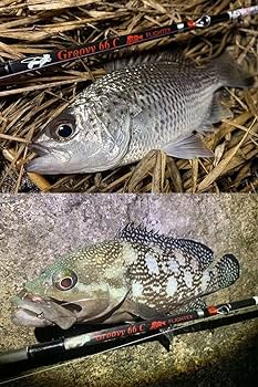 Amazon | エクストリーム ツララ フライテクス グルービー66C