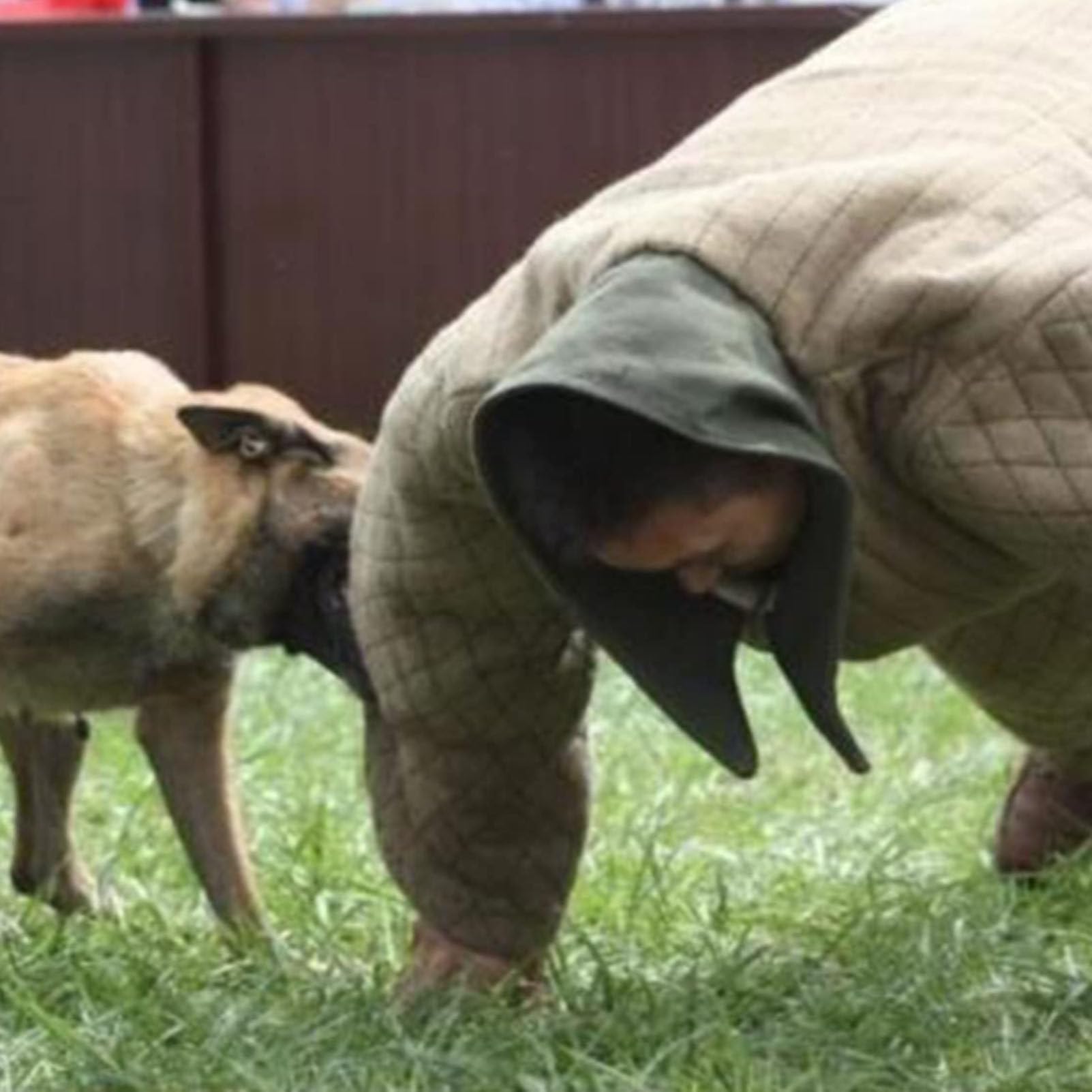Mono antimordeduras, traje de adiestramiento canino, ropa protectora para adiestramiento canino - Traje de adiestramiento canino policía para perros medianos y grandes.,L