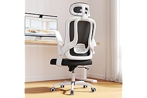 Ergonomic Computer Chair with Adjustable Head and Lumbar Support