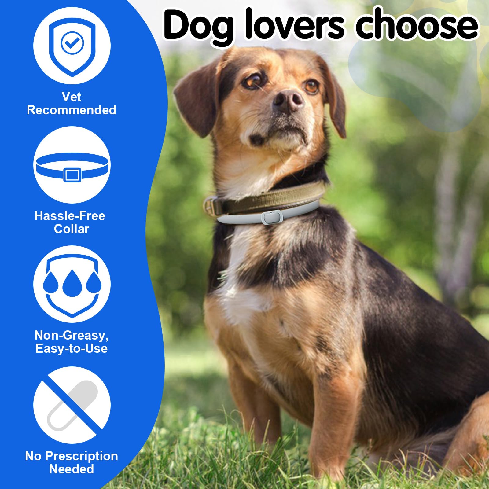 Collier Anti puces pour Chien, Colliers de Puces Pour Chiens Naturels (4pcs), Protection de 24 Mois, Collier Aux Puces Réglables et Imperméables Pour les Petits, Moyens et Grands Chiens