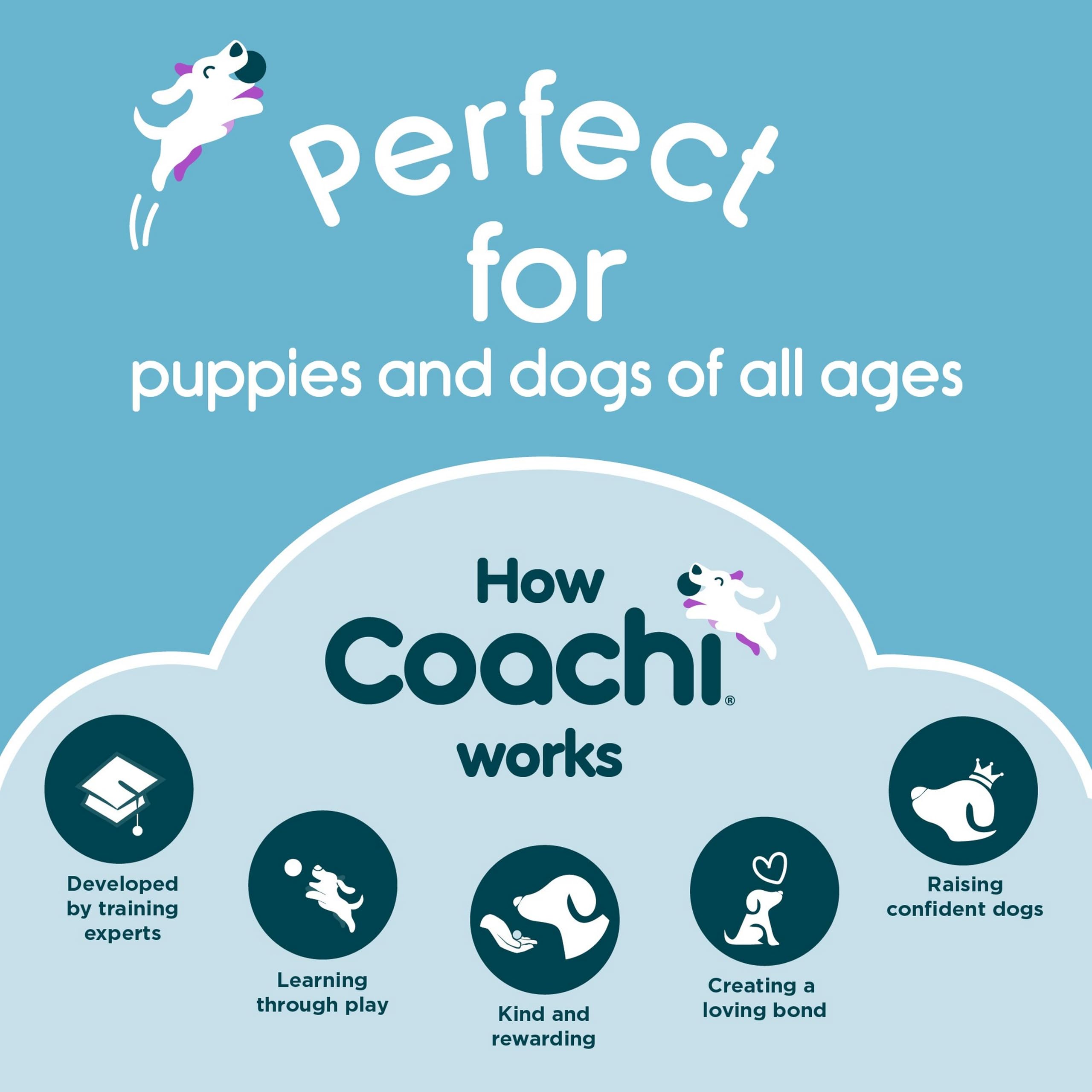 Coachi Tuggi Hide, Great for Interactive Play, Strong & Comfortable, Stretchy Bungee Handle, Reward Training, Recall, Interrupting Biting & Chewing, Perfect For Agility, Suitable for Dogs & Puppies