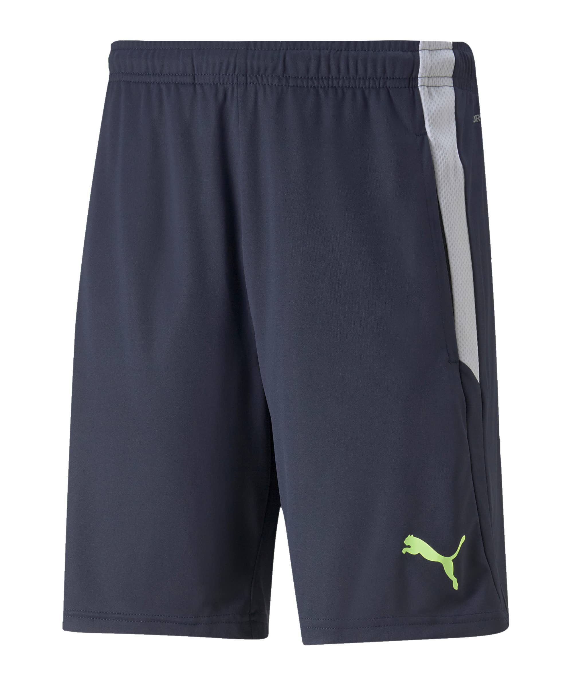 Puma Teamliga Shorts - Pantalones Cortos Hombre — view 14