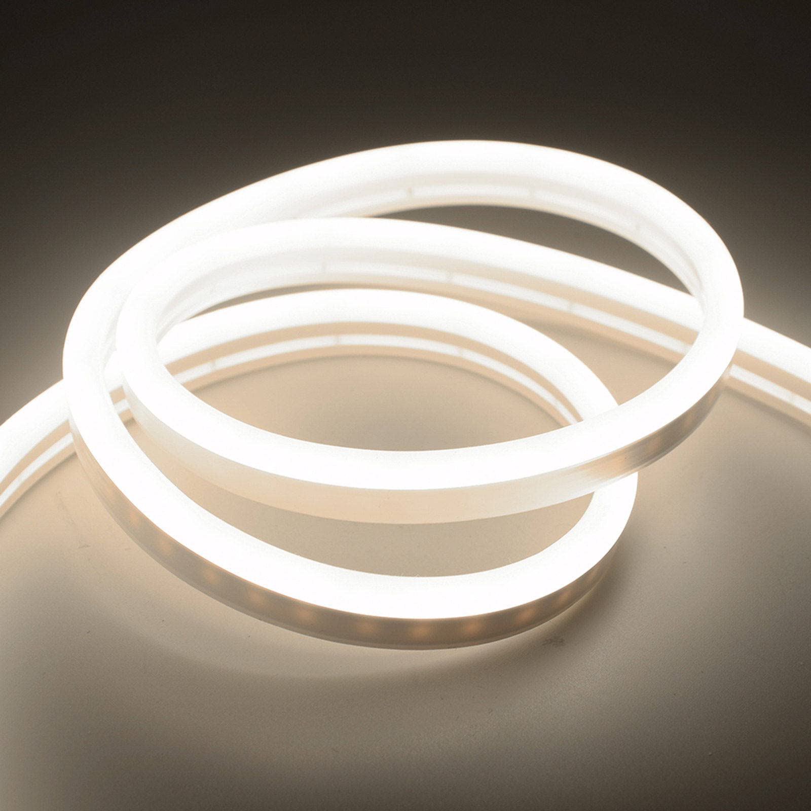 Striscia di Luce al Neon in Silicone 12v con Spina Striscia di Illuminazione per Font da 5 m Striscia di Luce Flessibile Impermeabile per Esterni,G