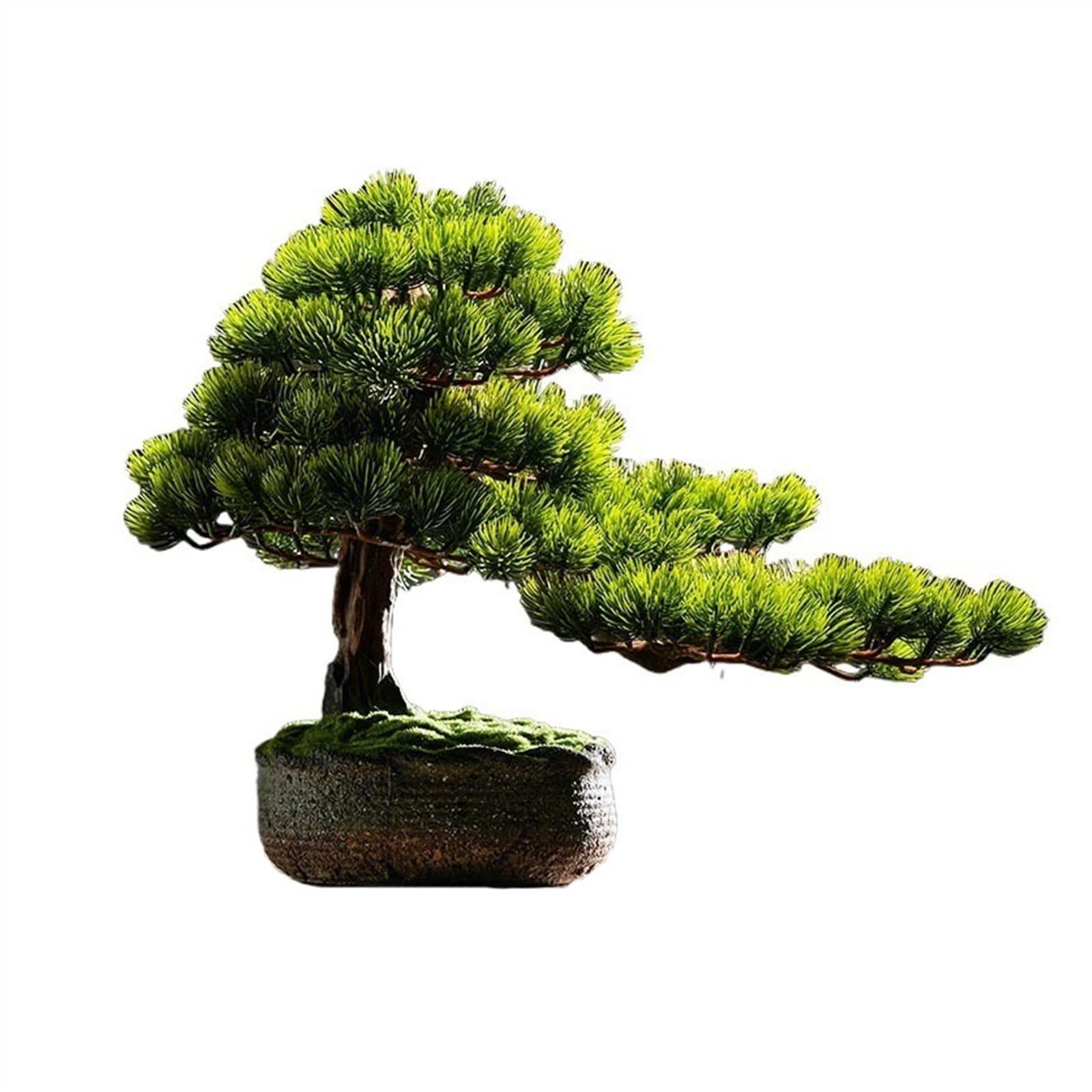 HCZKIUJY Artificial Plants Entrance TV Cabinet Office Soft Living Room Decorations Zen Simulation Welcome Pine Bonsai Ornaments Fake Plants Decor