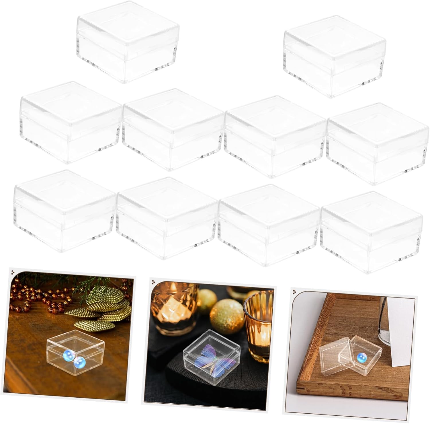 FOMIYES 10pcs Transparent Specimen Display Box Mini Storage Case for Organizing Collections Sample Containers for Specimens Easy to Use and Space-Saving