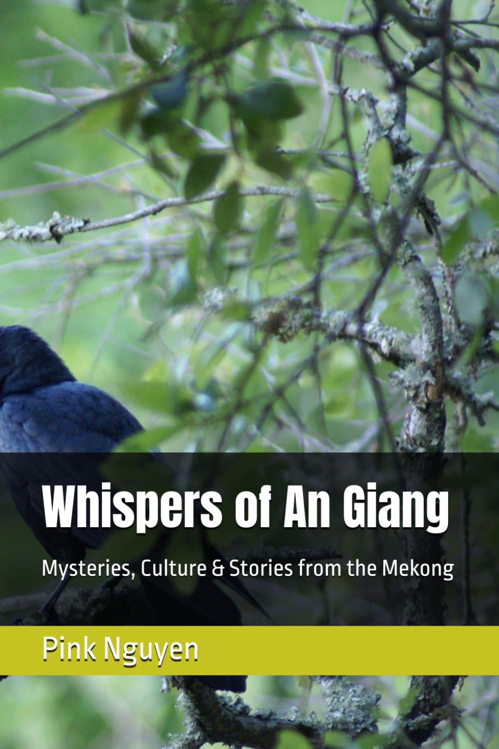 Whispers of An Giang: Mysteries, Culture & Stories from the Mekong (Mystic Mekong)