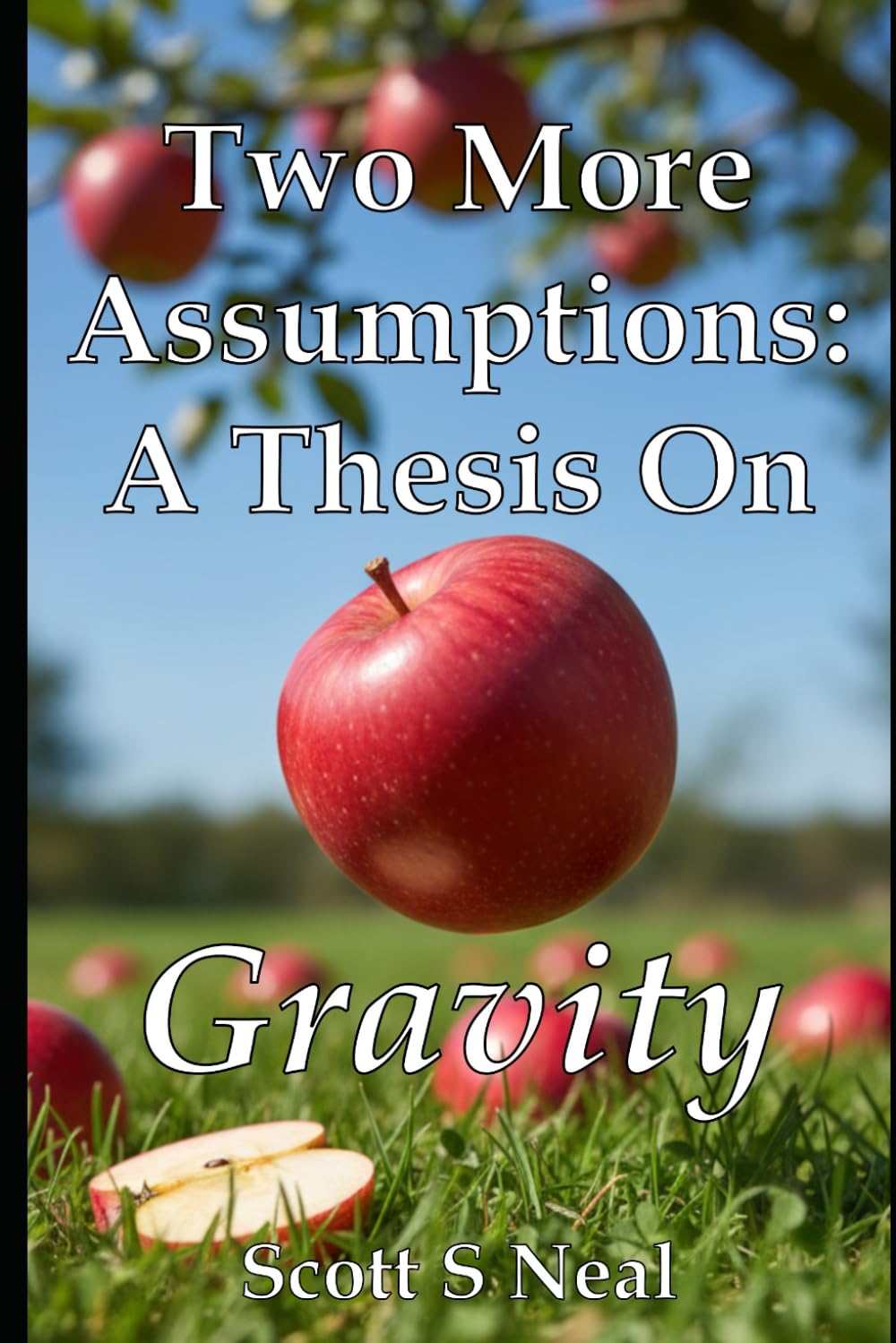 Two More Assumptions: A Thesis On Gravity (Antimatter Assumption)