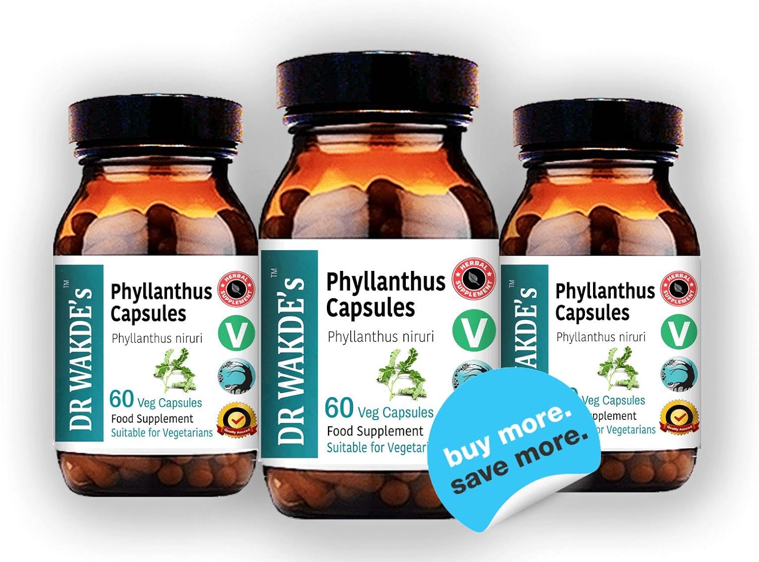 DR WAKDE's® Phyllanthus Capsules (Bhumi-amla/Bhumyamalaki) I 100% Herbal I 60 Veggie Capsules I Ayurvedic Supplement - Image 9
