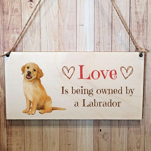 Second Ave Labrador Dog Wooden Hanging Gift Rectangle Home Sign Plaque