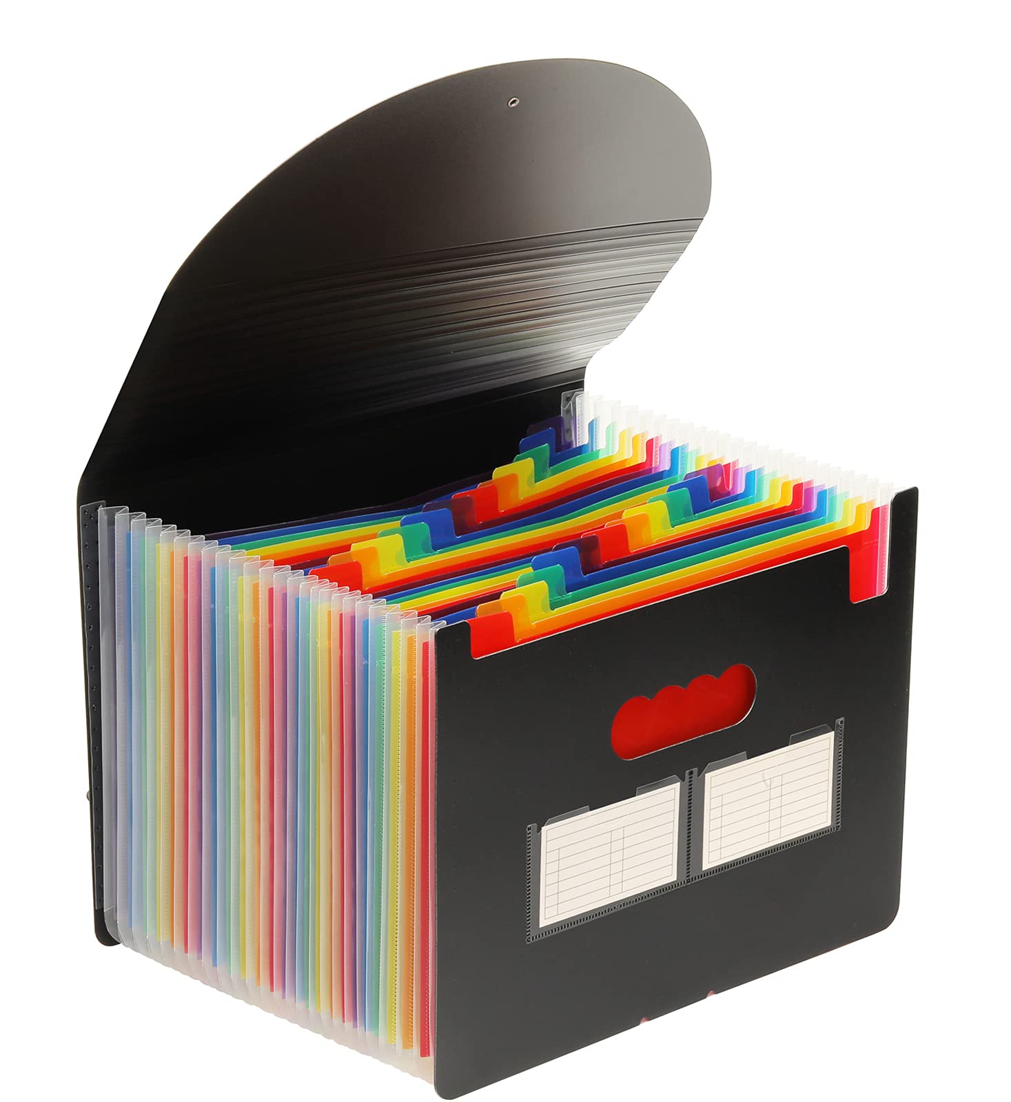 NAFY Accordion File Organizer, 24 Pockets Expanding File Folders, According File Organizer Portable Document Organizer with Blank Labels for Home Office School Supplies (Black)