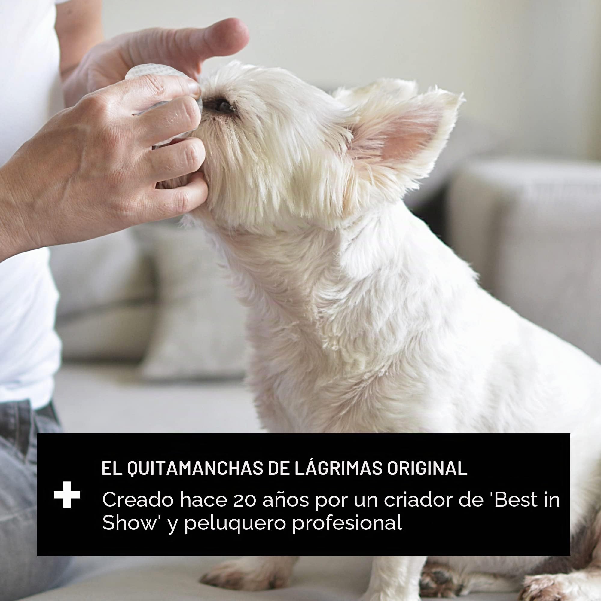 Eye Envy Tear Stain Wipes para perros | Texturizado para limpiar suavemente | Remojado en fórmula 100% natural | Recomendado por criadores, veterinarios y peluqueros de AKC | Trata la causa de las